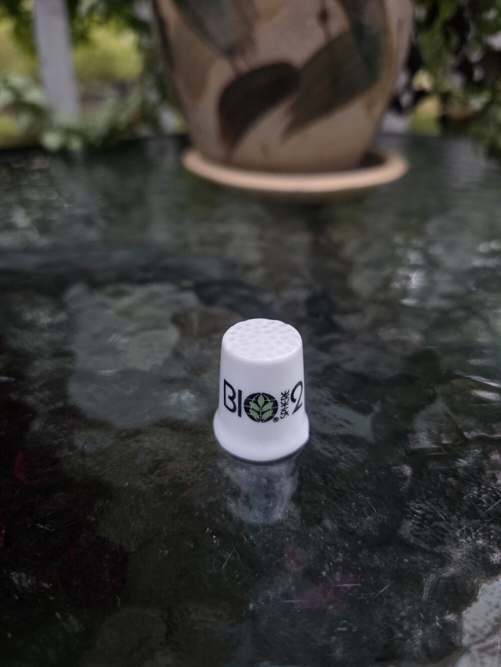 Biosphere 2 Souvenir Thimble